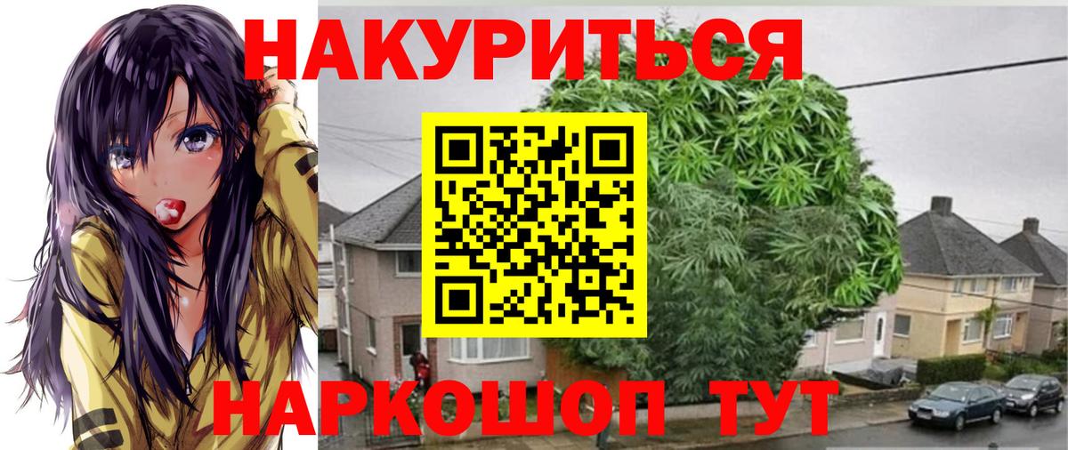 Конопля план  Вход с VPN  Кувандык  Бошки Шишки гибрид 
